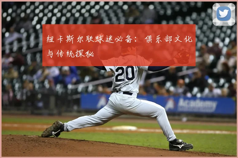 纽卡斯尔联球迷必备：俱乐部文化与传统探秘