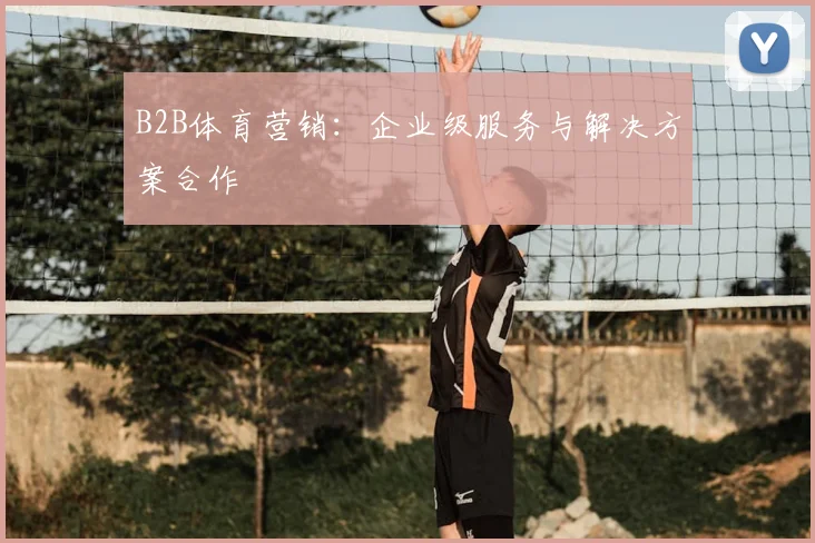 B2B体育营销：企业级服务与解决方案合作
