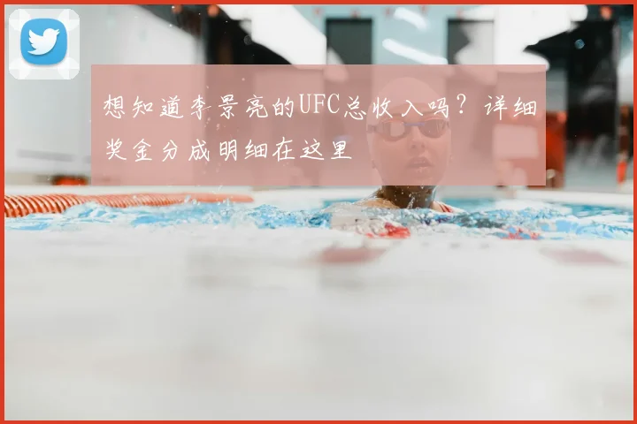 想知道李景亮的UFC总收入吗?详细奖金分成明细在这里