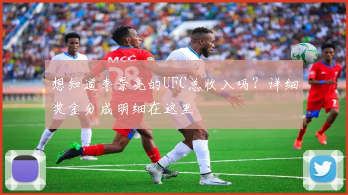 想知道李景亮的UFC总收入吗？详细奖金分成明细在这里