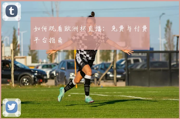 如何观看欧洲杯直播：免费与付费平台指南