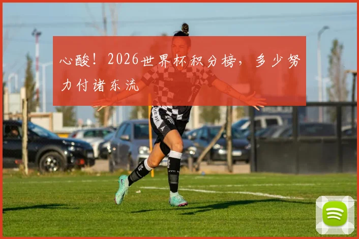 心酸!2026世界杯积分榜,多少努力付诸东流