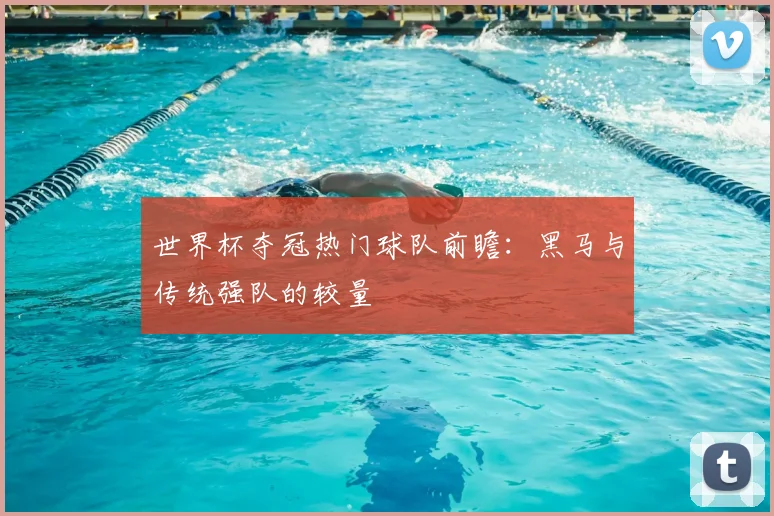 世界杯夺冠热门球队前瞻：黑马与传统强队的较量