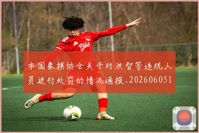 中国象棋协会关于对洪智等违规人员进行处罚的情况通报_20260605104239