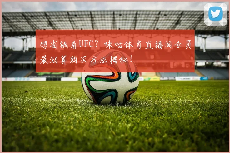 想省钱看UFC?咪咕体育直播间会员最划算购买方法揭秘!