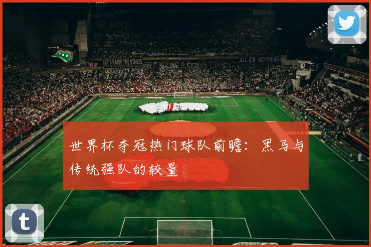 世界杯夺冠热门球队前瞻:黑马与传统强队的较量